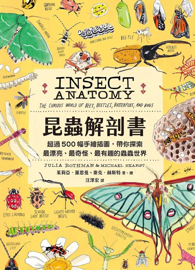 昆蟲解剖書:超過500幅手繪插圖,帶你探索最漂亮、最奇怪、最有趣的蟲蟲世界【限量贈送:作者手繪昆蟲透卡】 平裝書 Paperback