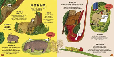 超級便便便:糞便與它們的神奇妙用(SDGs閱讀書房)-Children’s / Teenage general interest: General knowledge and interesting facts-買書書 BuyBookBook