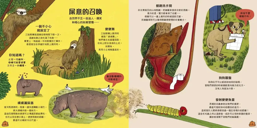 超級便便便:糞便與它們的神奇妙用(SDGs閱讀書房)-Children’s / Teenage general interest: General knowledge and interesting facts-買書書 BuyBookBook