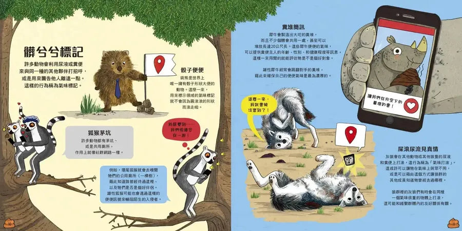 超級便便便:糞便與它們的神奇妙用(SDGs閱讀書房)-Children’s / Teenage general interest: General knowledge and interesting facts-買書書 BuyBookBook