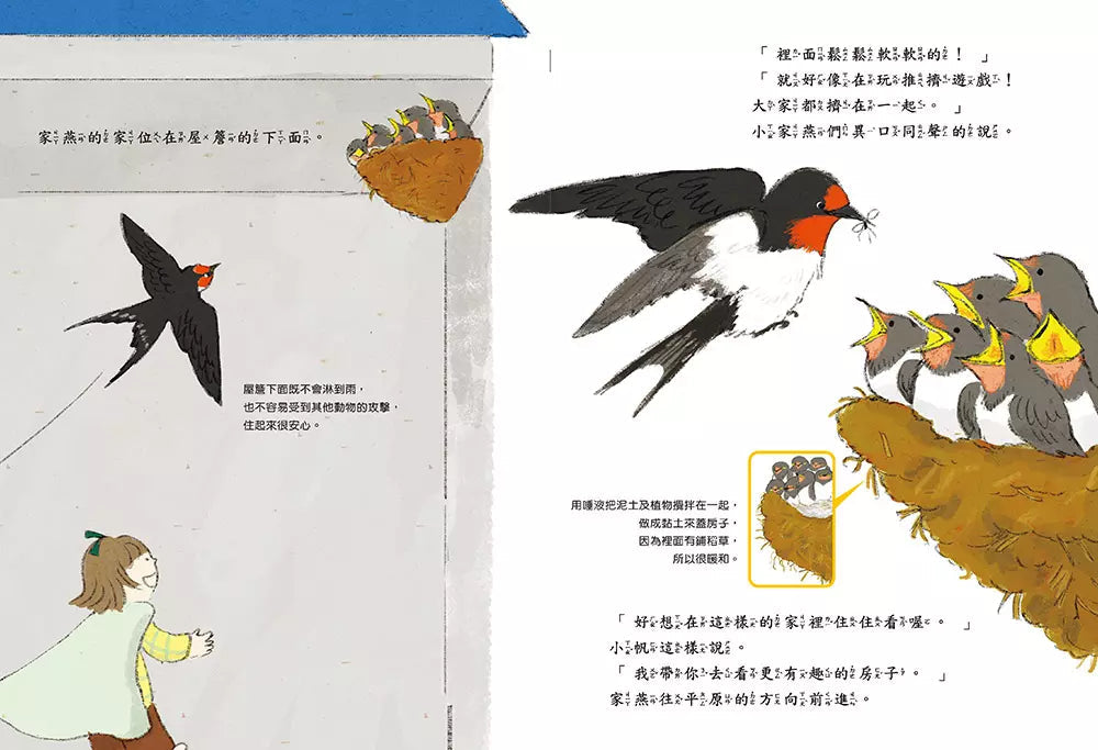 歡迎光臨我的家!(momoro)-故事: 兒童繪本 Picture Books-買書書 BuyBookBook