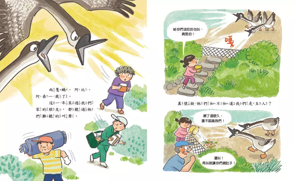 崔崔的山居小日子:養鵝記-故事: 橋樑章節 Early Readers-買書書 BuyBookBook
