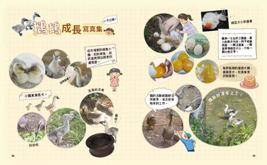 崔崔的山居小日子:養鵝記-故事: 橋樑章節 Early Readers-買書書 BuyBookBook