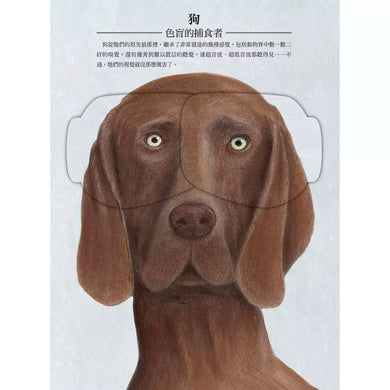 動物眼中的世界(典藏新裝版)(紀堯姆.杜帕)-非故事: 動物植物 Animal & Plant-買書書 BuyBookBook