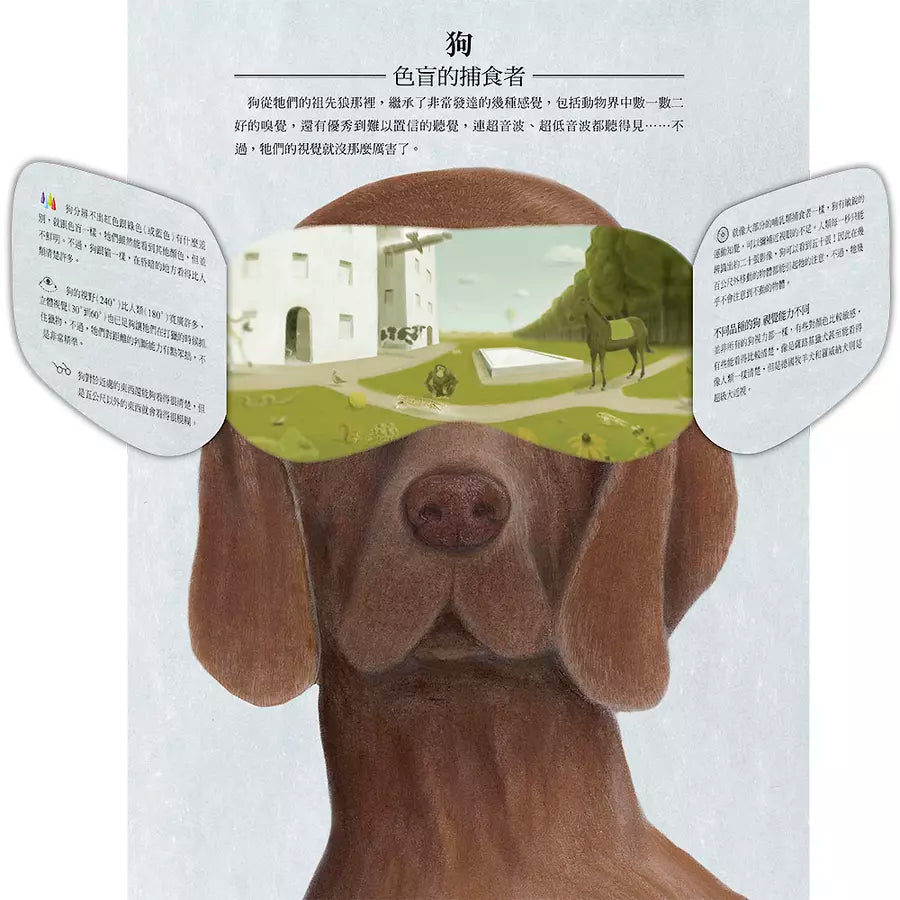 動物眼中的世界(典藏新裝版)(紀堯姆.杜帕)-非故事: 動物植物 Animal & Plant-買書書 BuyBookBook