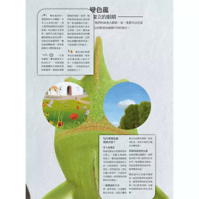 動物眼中的世界(典藏新裝版)(紀堯姆.杜帕)-非故事: 動物植物 Animal & Plant-買書書 BuyBookBook