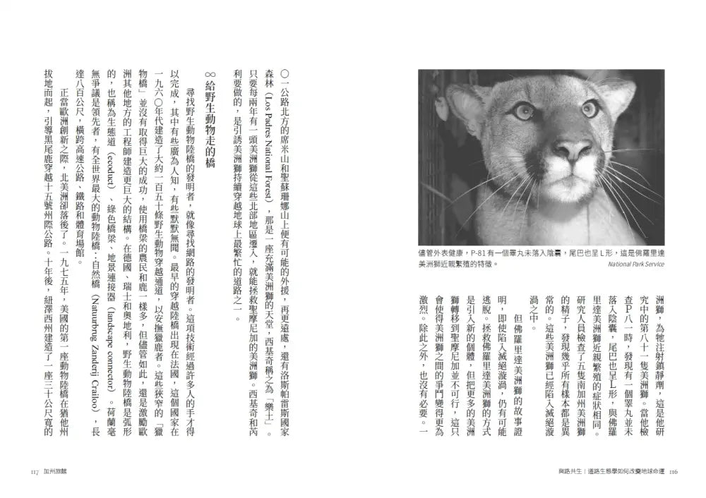 與路共生:道路生態學如何改變地球命運-Nature and the natural world: general interest-買書書 BuyBookBook