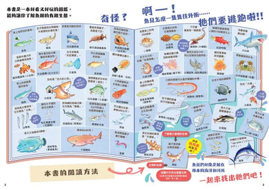 超有趣的找一找魚類圖鑑-Children’s Early years / early learning concepts-買書書 BuyBookBook
