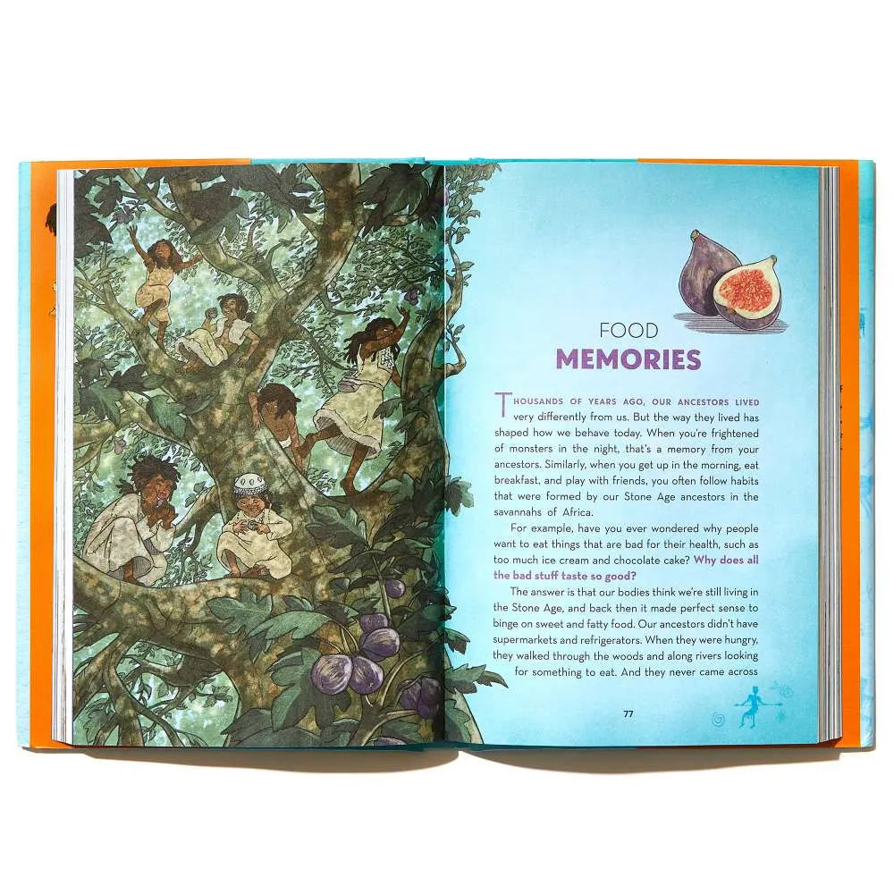 US - Hardback