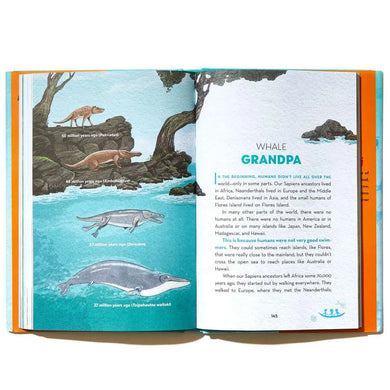US - Hardback