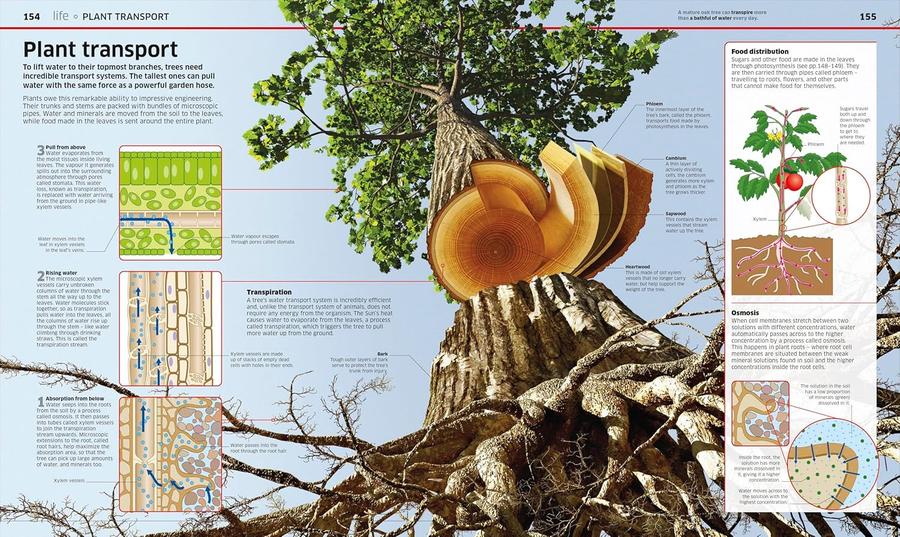 Knowledge Encyclopedia Science, 2nd Edition