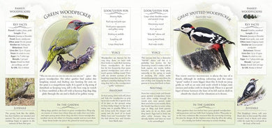 What's That Garden Bird? Birdspotting Wheel and Guide Book (Andrea Pinnington)