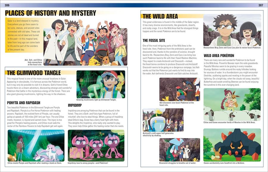 Pokemon Visual Companion Fifth Edition