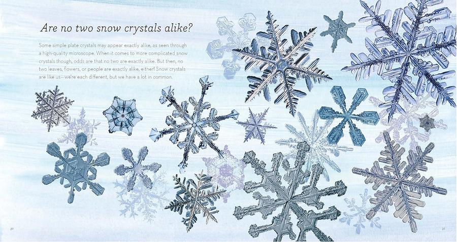 The Story of Snow-Children’s / Teenage general interest: Nature and animals-買書書 BuyBookBook