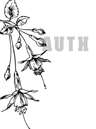The Southern Reach