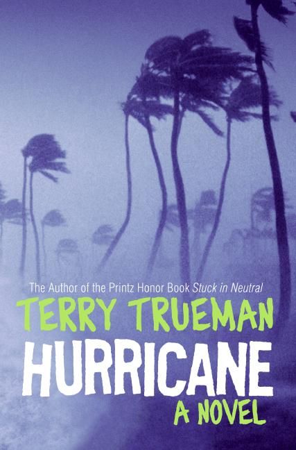 Hurricane-Children’s / Teenage fiction: General and modern fiction-買書書 BuyBookBook