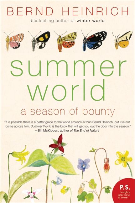 Summer World-History and Archaeology-買書書 BuyBookBook