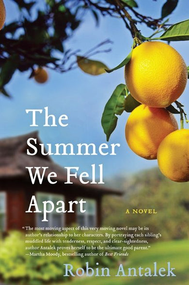 The Summer We Fell Apart-Fiction: general and literary-買書書 BuyBookBook