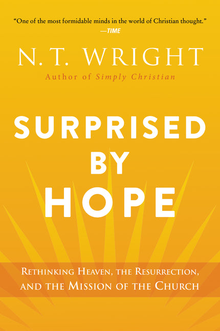 Surprised by Hope-Religion and beliefs-買書書 BuyBookBook
