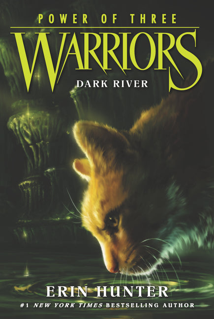 Warriors: Power of Three #2: Dark River-Children’s / Teenage fiction: General and modern fiction-買書書 BuyBookBook
