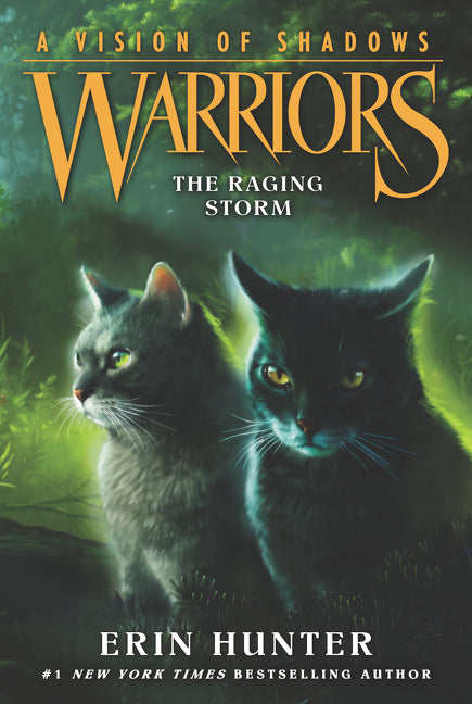 Warriors: A Vision of Shadows #6: The Raging Storm-Children’s / Teenage fiction: General and modern fiction-買書書 BuyBookBook