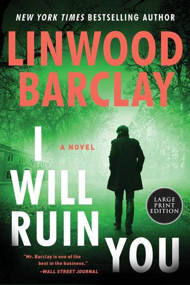 I Will Ruin You-Fiction: Crime and mystery-買書書 BuyBookBook