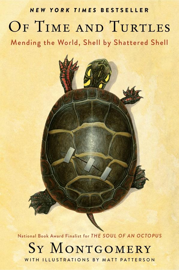 Of Time and Turtles-Biography and memoirs-買書書 BuyBookBook