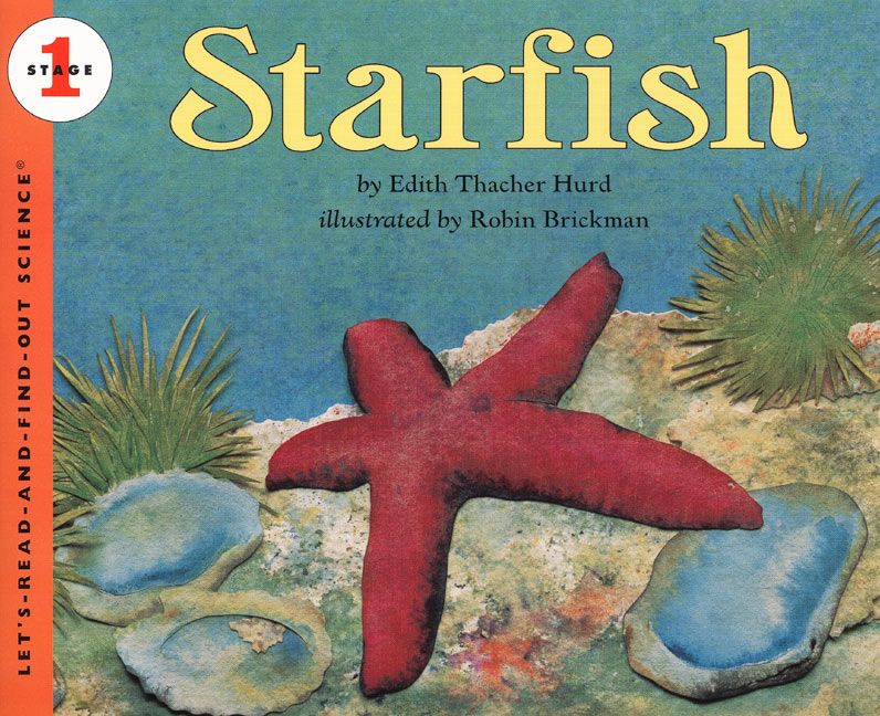 Starfish-Children’s / Teenage general interest: Nature and animals-買書書 BuyBookBook