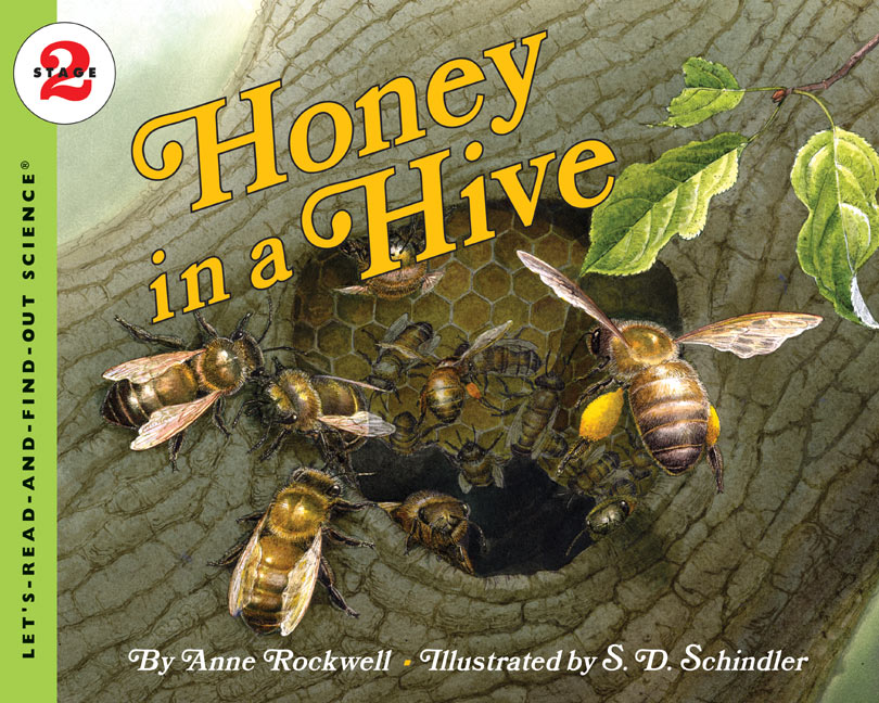 Honey in a Hive-Children’s / Teenage general interest: Nature and animals-買書書 BuyBookBook