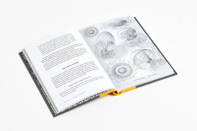 The Wander Society US - Hardback