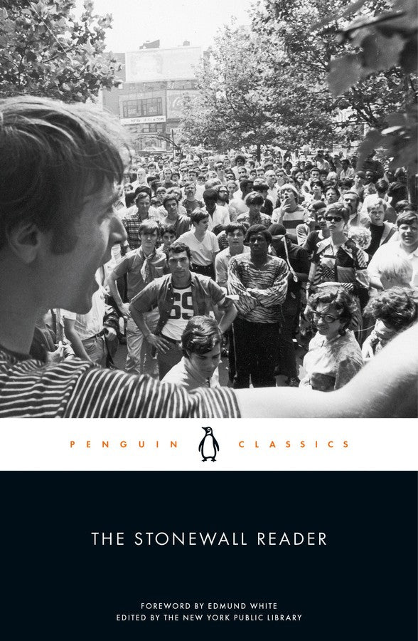 The Stonewall Reader-Society/ culture/ social sciences-買書書 BuyBookBook