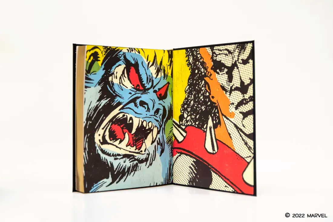 Black Panther US - Hardback