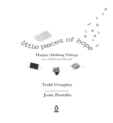 Little Pieces of Hope US - Paperback / softback