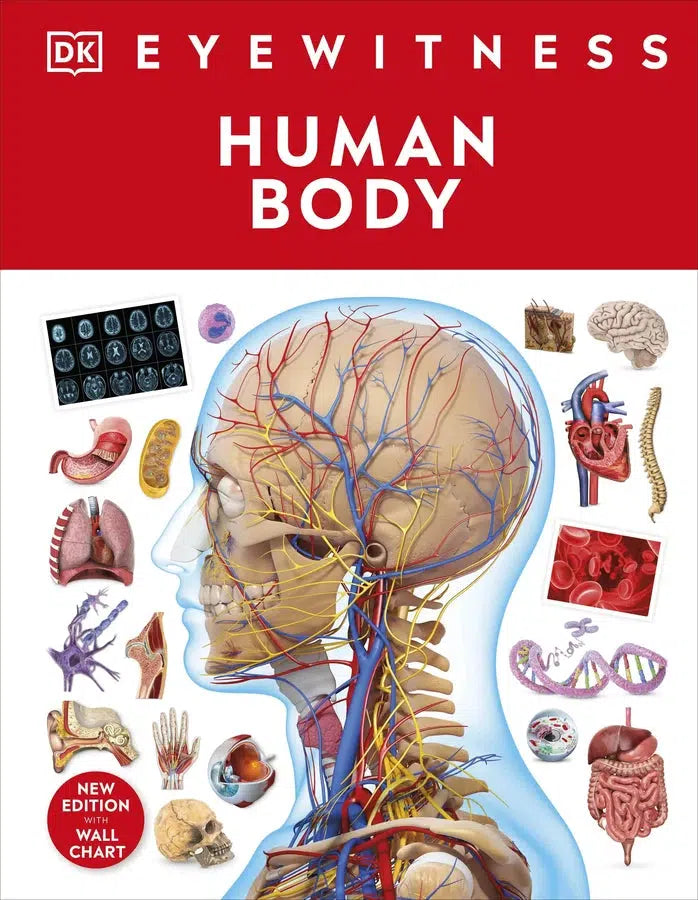 Human Body-Children’s Educational: Mathematics/ science/ technology-買書書 BuyBookBook