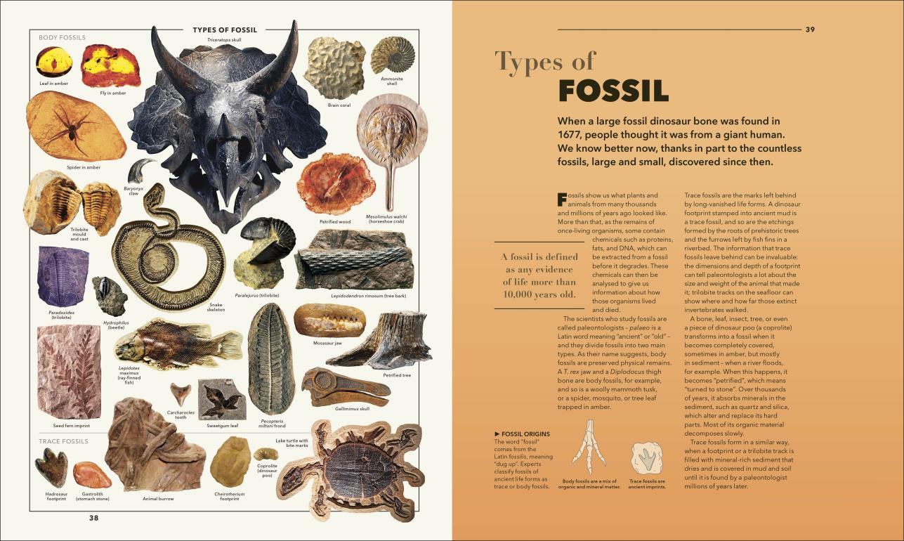 Knowledge A Visual Compendium