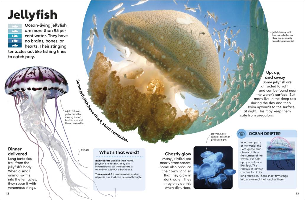 Eyewonder Oceans