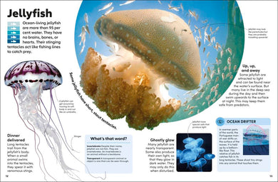 Eyewonder Oceans