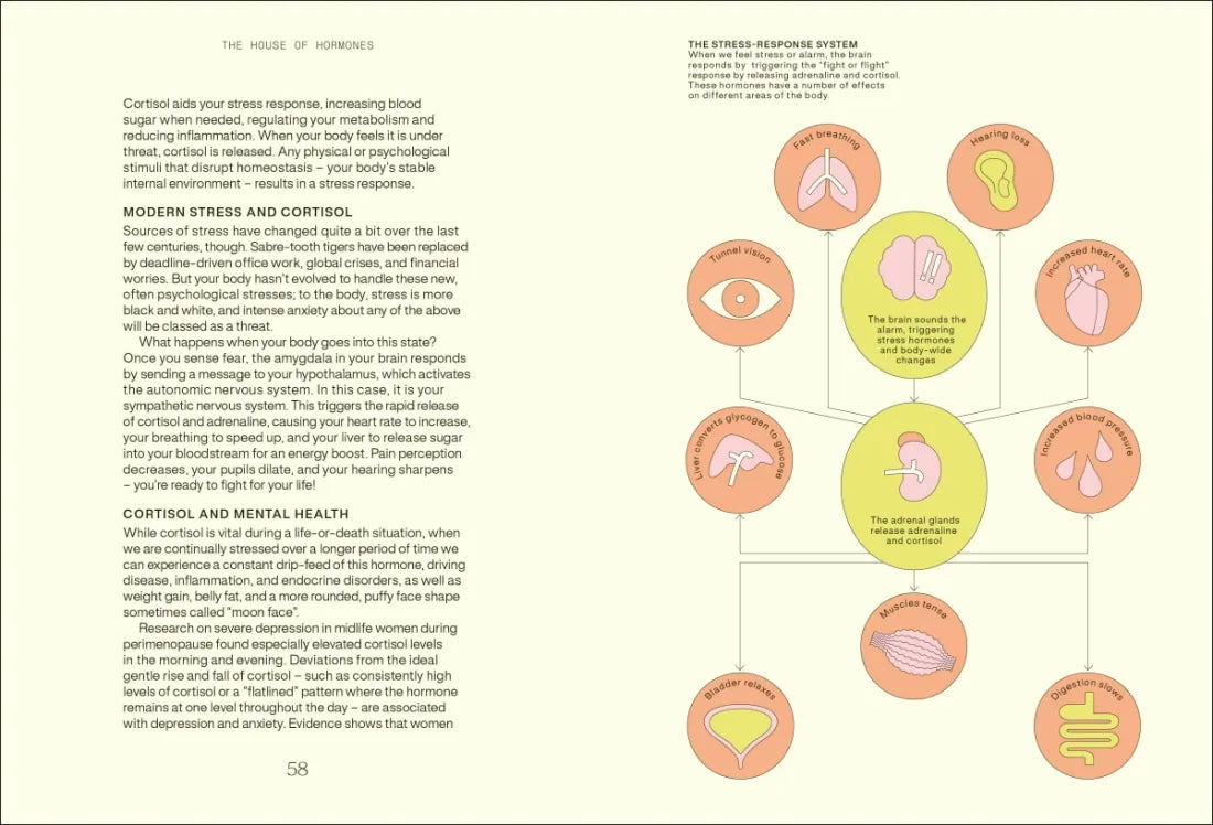 Everything I Know About Hormones US - Hardback