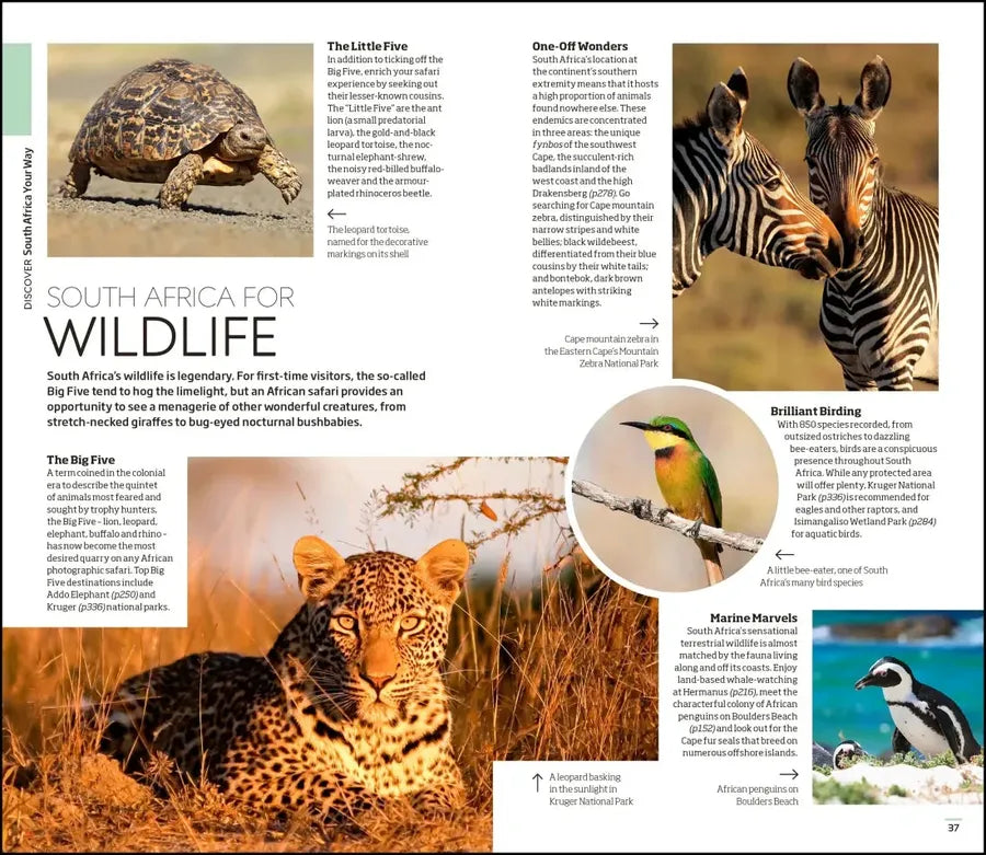 DK South Africa US - Paperback / softback