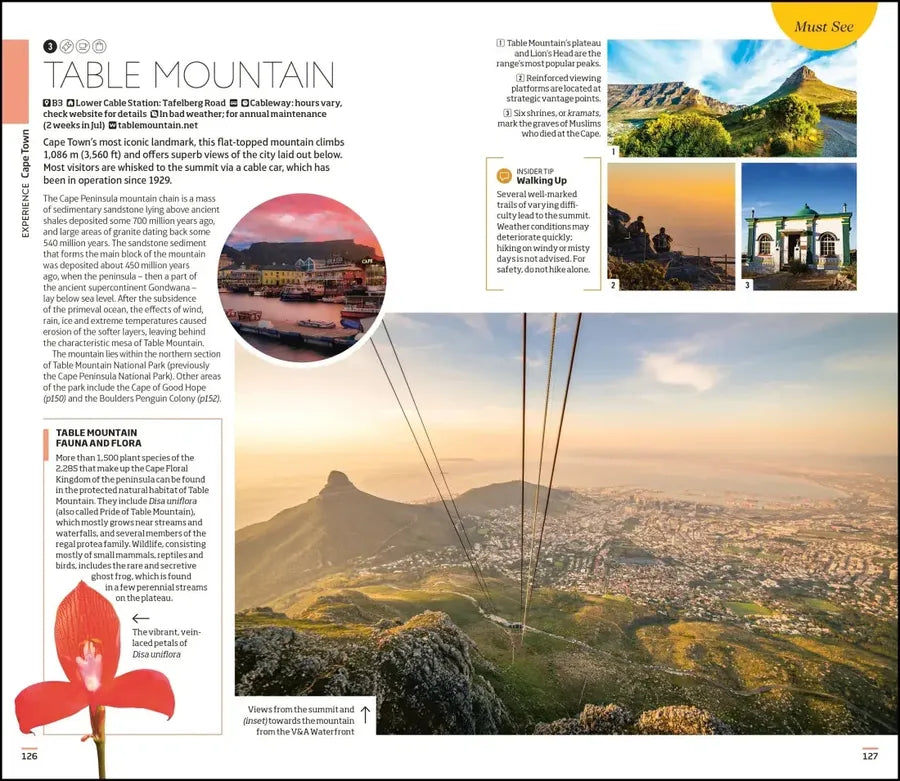 DK South Africa US - Paperback / softback