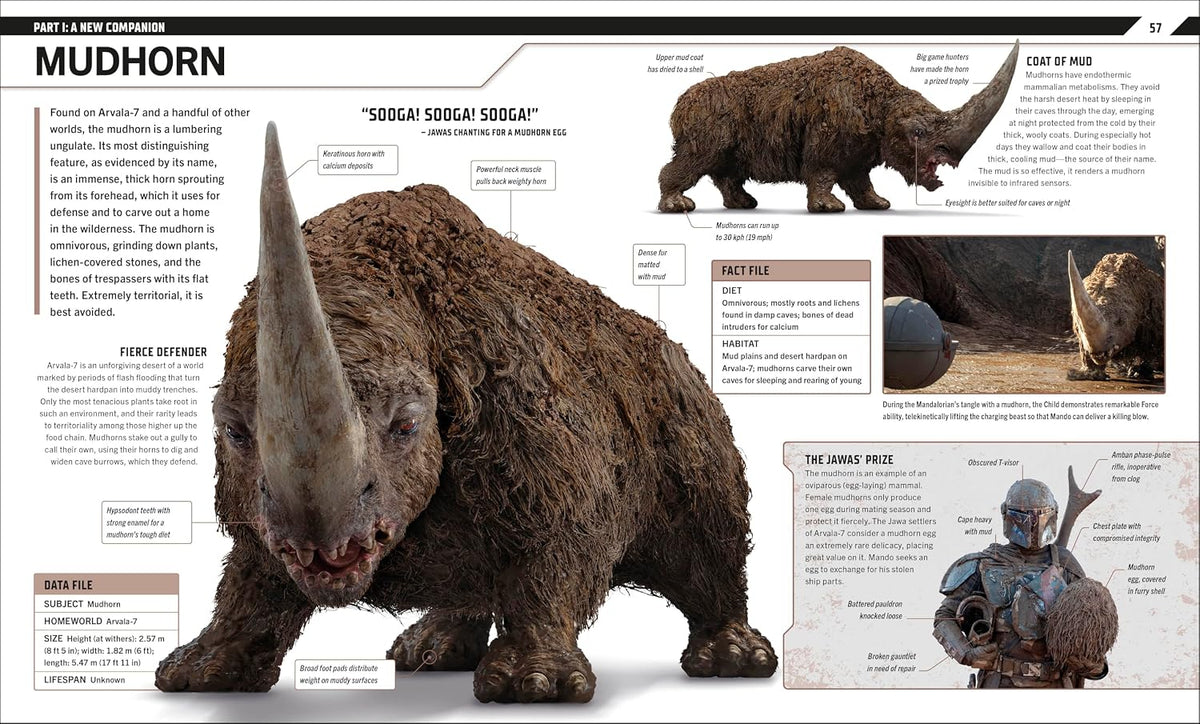 Star Wars The Mandalorian Visual Guide