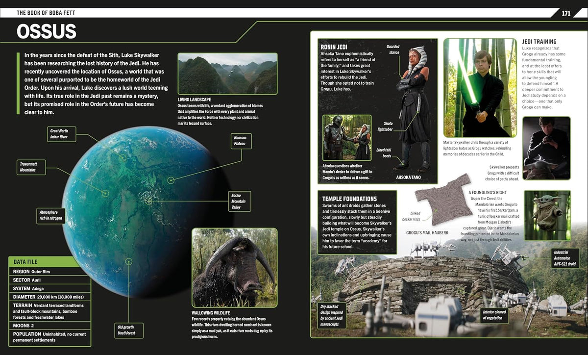 Star Wars The Mandalorian Visual Guide