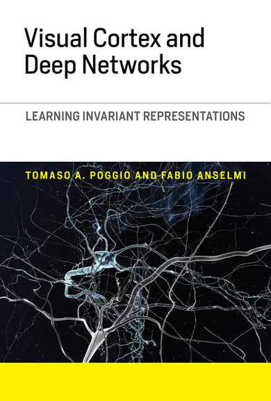 Visual Cortex and Deep Networks-Mathematics and Science-買書書 BuyBookBook
