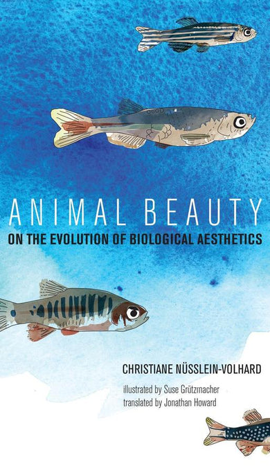 Animal Beauty-Mathematics and Science-買書書 BuyBookBook
