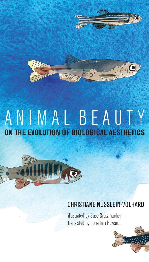 Animal Beauty-Mathematics and Science-買書書 BuyBookBook