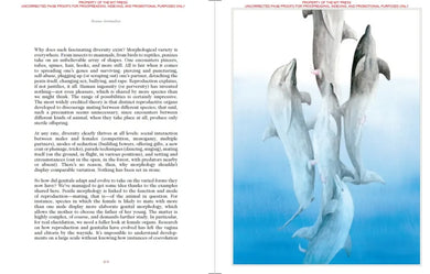 Sexus Animalis US - Hardback