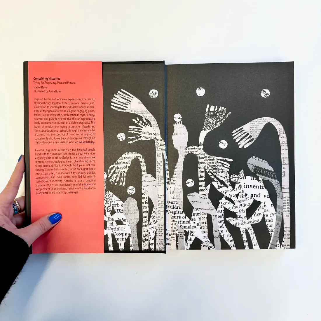 Conceiving Histories US - Hardback