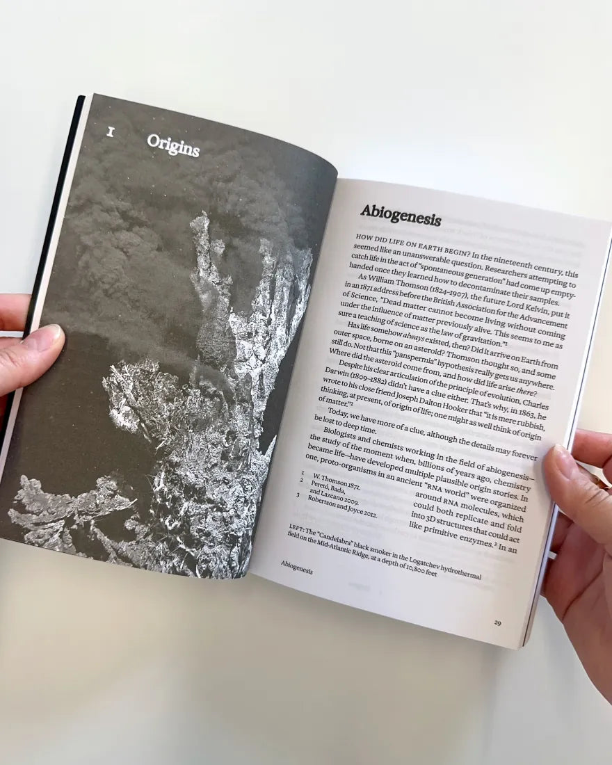 What Is Intelligence? US - Paperback / softback