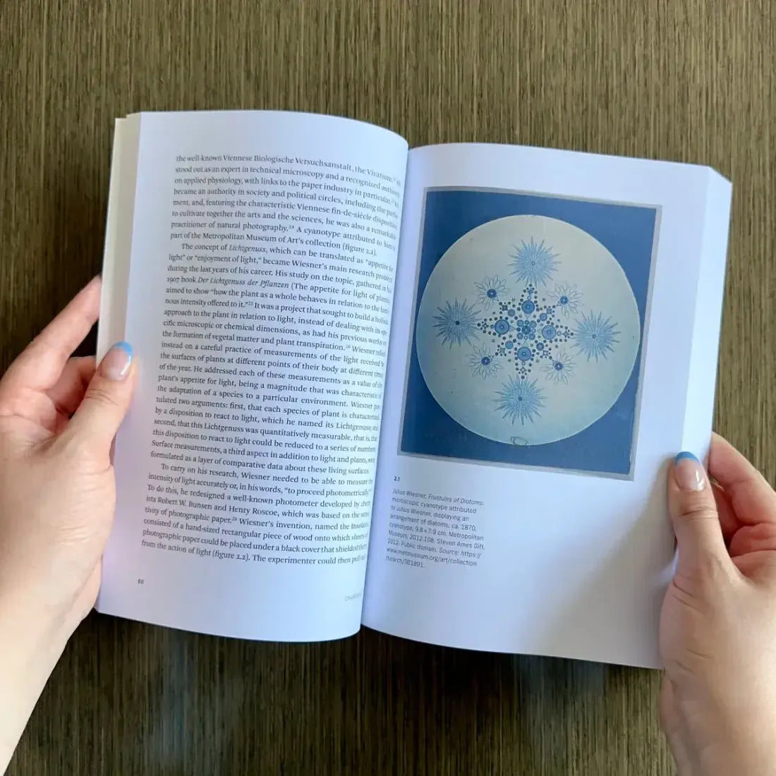 Living Surfaces US - Paperback / softback