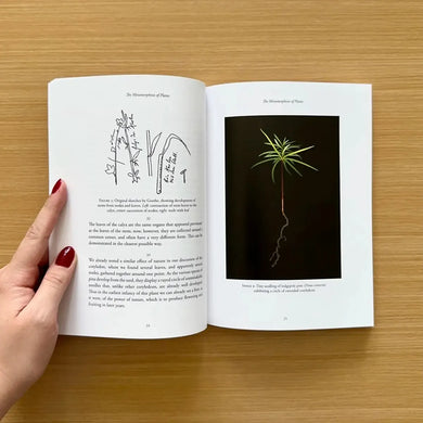 The Metamorphosis of Plants US - Paperback / softback